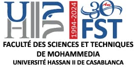 FSTM